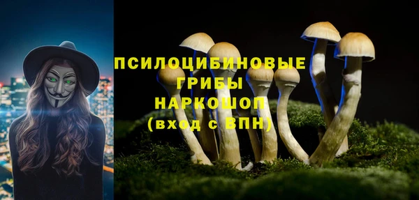 круглые Алексеевка