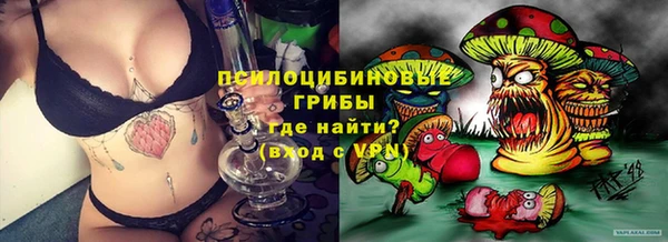 кокс Алзамай